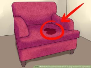 شركة نظافة بالدمام شركة نظافة بالدمام